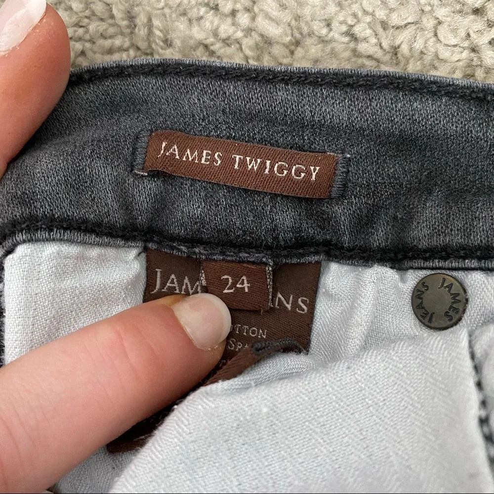 James Jeans Slate James Twiggy Skinny Jeans - Picture 8 of 12